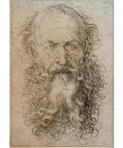 Albrecht Dürer, Kopf eines alten Mannes mit langem Bart