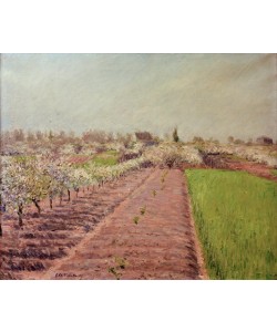 Gustave Caillebotte, Pommiers en fleurs, coteau de Colombes