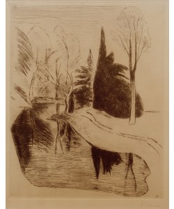 Heinrich Nauen, Park in Dilborn, 1914