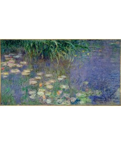 Claude Monet, Le Bassin aux nymphéas sans saules, Matin