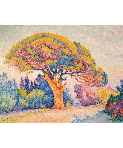 Paul Signac, Signac, Pinie von Bertaud