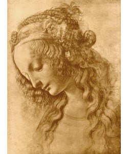 Leonardo da Vinci, Weiblicher Kopf im Profil