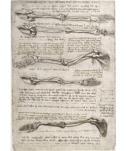 Leonardo da Vinci, Anatomiestudien