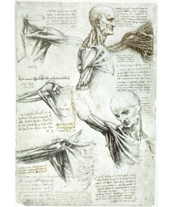 Leonardo da Vinci, Anatomiestudien