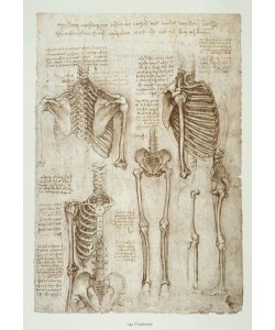 Leonardo da Vinci, Anatomiestudien