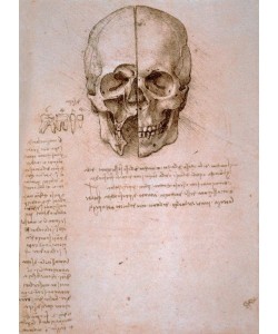 Leonardo da Vinci, Anatomiestudien: Schädelsektion