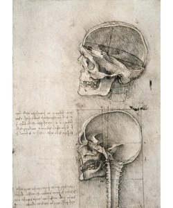 Leonardo da Vinci, senso commune