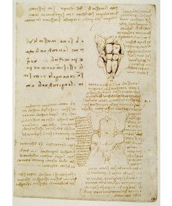 Leonardo da Vinci, Anatomiestudien