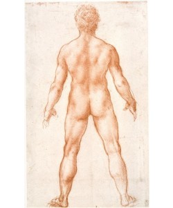 Leonardo da Vinci, Männlicher Akt in Rückenansicht