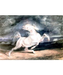Eugene Delacroix, White Horse