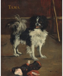 Edouard Manet, Tama, the Japanese Dog