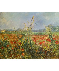 Vincent van Gogh, Grüne Kornhalme
