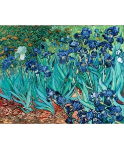 Vincent van Gogh, Iris (Schwertlilien)