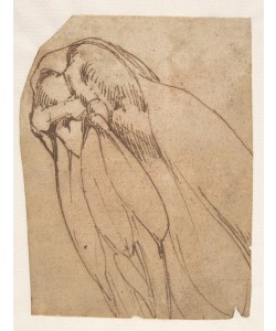 MICHELANGELO BUONARROTI, Anatomical Study of a Knee