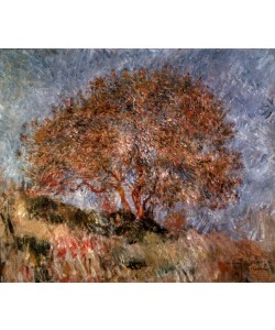 Pierre-Auguste Renoir, Souvenirs d'Alger