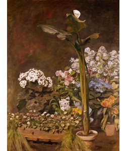 Pierre-Auguste Renoir, Arum et plantes de serre