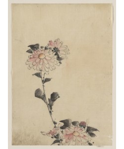 Katsushika Hokusai, Pink Flower Blossoms
