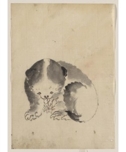 Katsushika Hokusai, A cat cleaning its claws