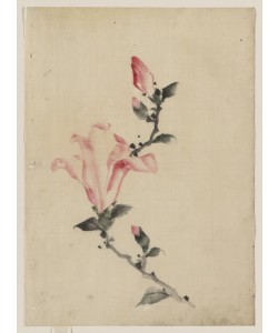 Katsushika Hokusai, Pink Blossom on a Stem