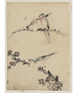 Katsushika Hokusai, Three Birds Perched on Branches