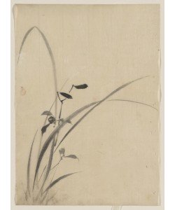 Katsushika Hokusai, Grasses