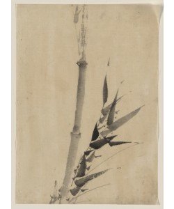 Katsushika Hokusai, Bamboo