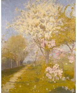 Charles Conder, Apple Blossom at Dennemont, 1893