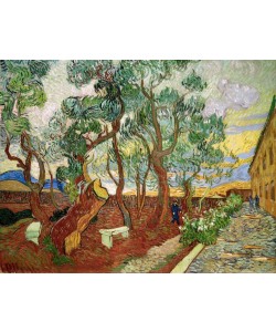 Vincent van Gogh, Garten des Hospitals Saint-Paul