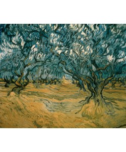 Vincent van Gogh, Olivenbäume