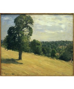 Camille Pissarro, Der große Birnbaum in Montfoucault