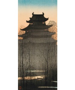 Unbekannt, Nagoya Schloss 