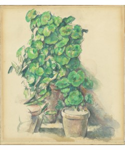 Paul Cézanne, Geraniums, 1888/1890