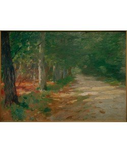 Thomas Ludwig Herbst, Waldweg mit Sonnenflecken