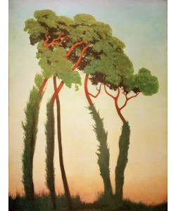 Felix Vallotton, Derniers rayons