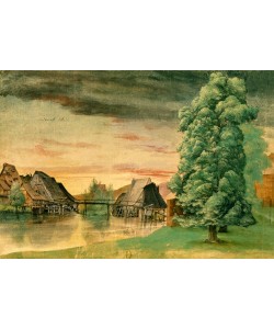 Albrecht Dürer, Weidenmühle