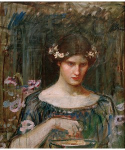 John William Waterhouse, Medea