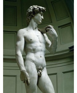 Michelangelo Buonarroti, David