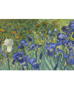 Vincent van Gogh, Irises, 1889 (oil on canvas) (detail of 40070)