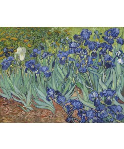 Vincent van Gogh, Irises, 1889 (oil on canvas)