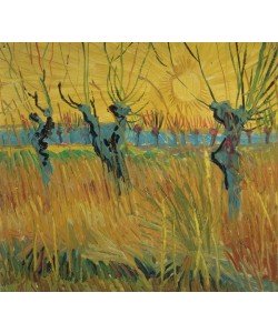 Vincent van Gogh, Pollarded Willows and Setting Sun, 1888 (oil on card)
