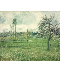 Camille Pissarro, Meadow at Eragny, 1885