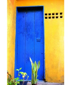 Hady Khandani, BLUE DOOR