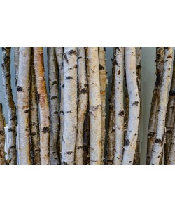 Konfiguration benutzen