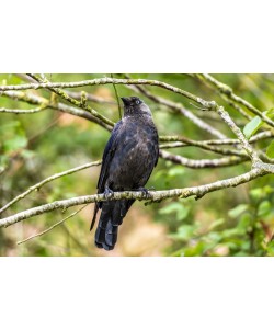 Konfiguration benutzen