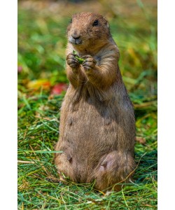 Konfiguration benutzen