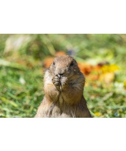 Konfiguration benutzen