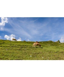 Konfiguration benutzen