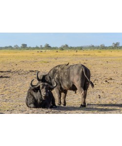 Konfiguration benutzen