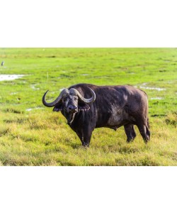 Konfiguration benutzen