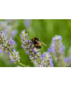 Konfiguration benutzen